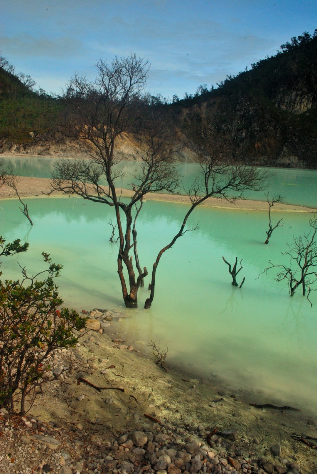 Kawah Putih (White Crater)